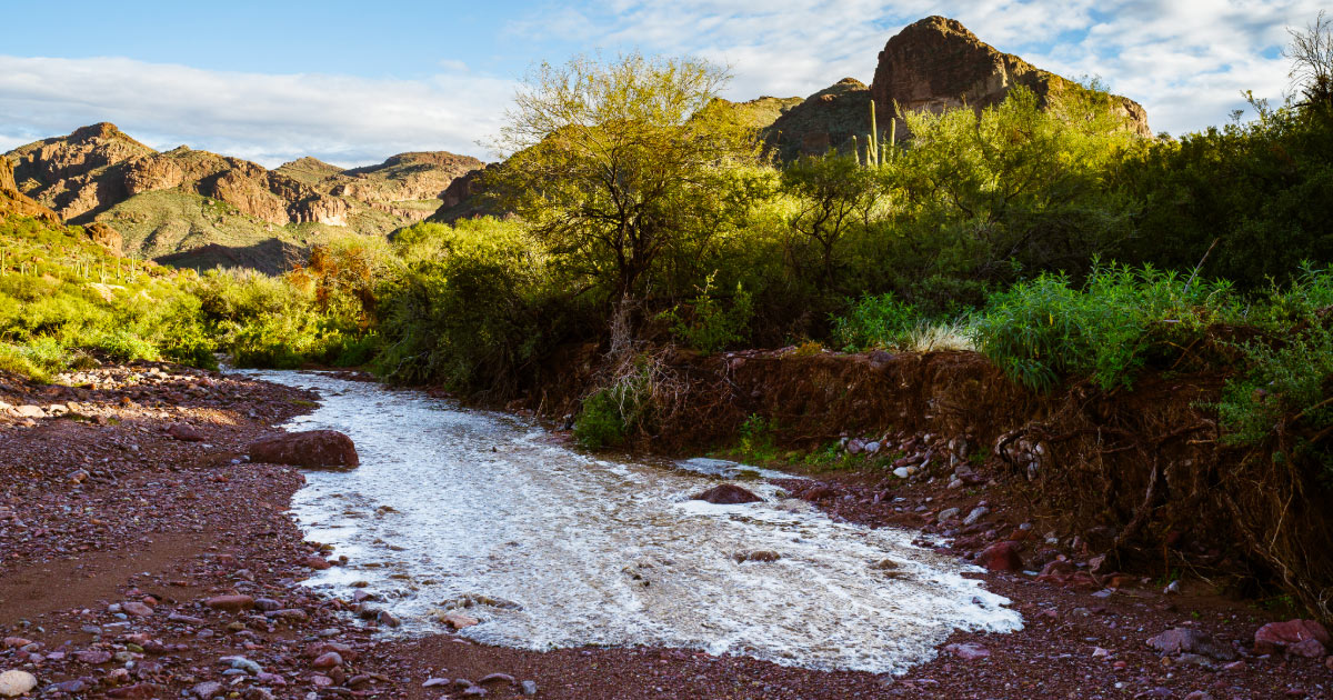 Flash flood beginning to move down dried riverbed
